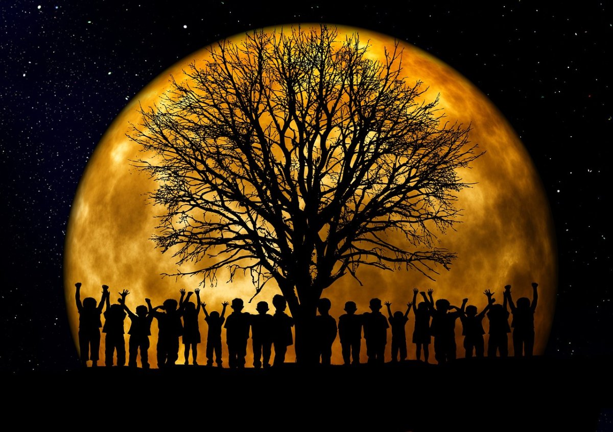 Constellations Apprendre à se connaître