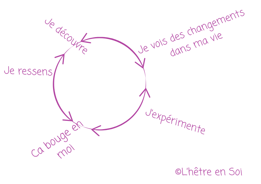Schéma je découvre je ressens, ca bouge en moi, j'expérimente, je vois des changements dans ma vie